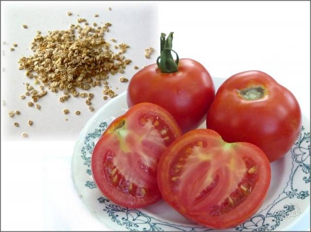 Καλλιέργεια σποροφύτων ντομάτας στο σπίτι